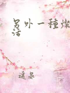 另外一种灿烂生活