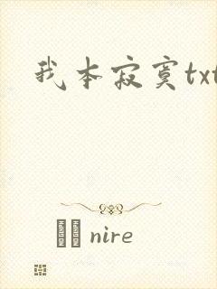 我本寂寞txt