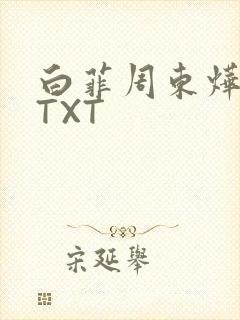 白菲周东烨小说TXT