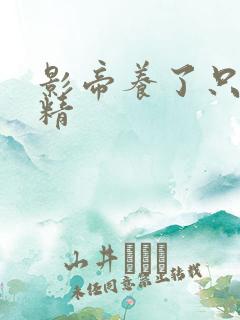 影帝养了只兰花精