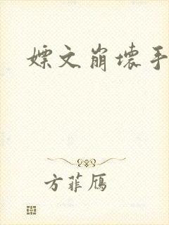 嫖文崩坏手册
