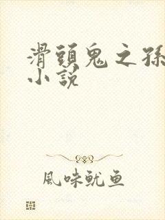 滑头鬼之孙官方小说