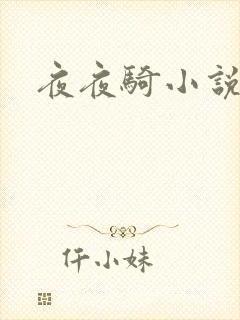 夜夜骑小说