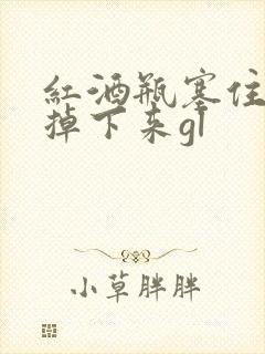 红酒瓶塞住不准掉下来gl