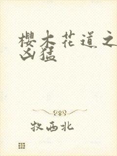 樱木花道之重生凶猛