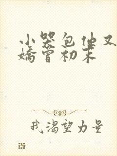 小哭包他又软又娇曾初末