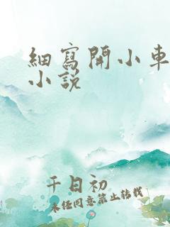 细写开小车车的小说