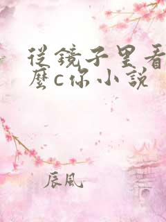 从镜子里看我怎么c你小说