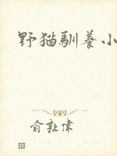 野猫驯养小说