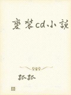 变装cd小说