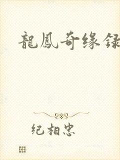 龙凤奇缘录
