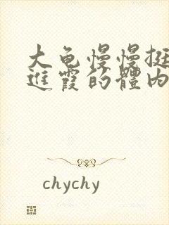 大龟慢慢挺进王进霞的体内