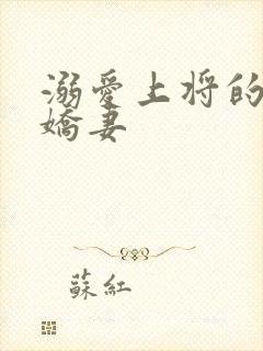 溺爱上将的宝贝娇妻