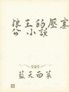 狼王的压寨小相公 小说