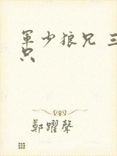 军少狼兄 三两只