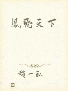 凤飞天下