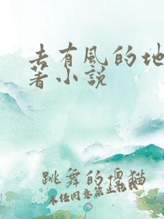去有风的地方原著小说