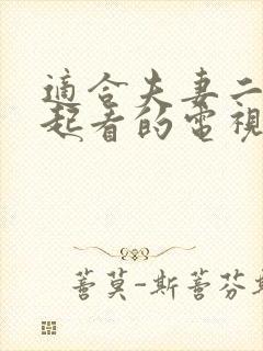 适合夫妻二人一起看的电视剧