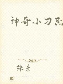 神奇小刁民