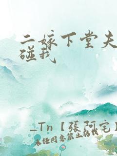 二嫁下堂夫君别碰我