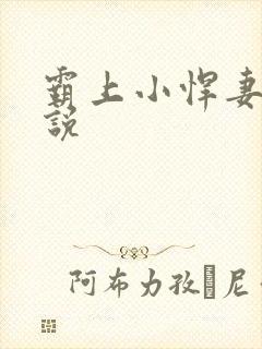 霸上小悍妻 小说