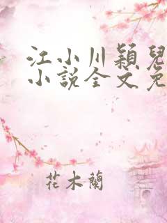 江小川颖儿穿越小说全文免费阅读