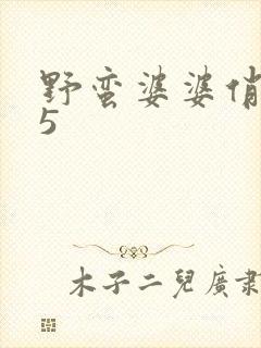 野蛮婆婆俏媳妇5