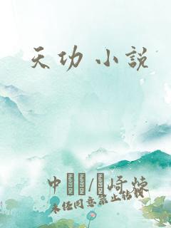 天功 小说