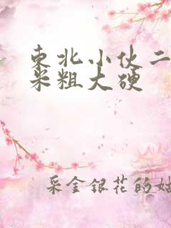 东北小伙二十厘米粗大硬