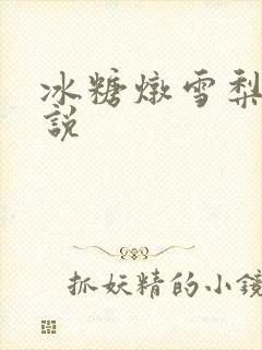 冰糖炖雪梨 小说