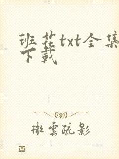班花txt全集下载