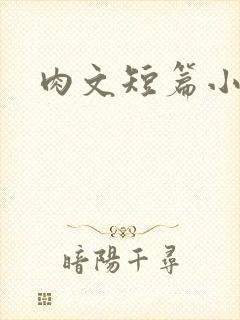 肉文短篇小说