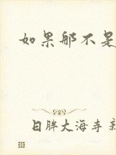 如果那不是爱情