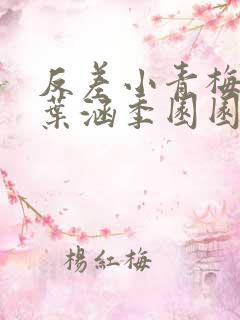 反差小青梅不经叶涵季园园