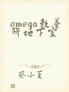 omega教养所地下室