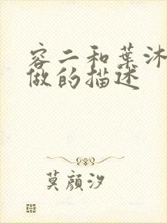 容二和叶沐走着做的描述