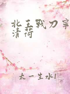 北王战刀宁北苏清荷