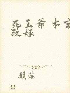 死王爷 本宫已改嫁