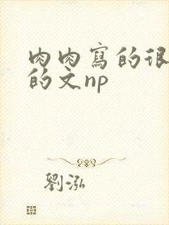 肉肉写的很细致的文np