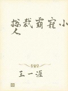 总裁霸宠小小女人