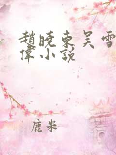 赵晓东吴雪晴郑伟小说