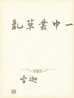 乱草丛中一杆枪