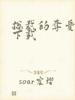 总裁的夺爱游戏下载