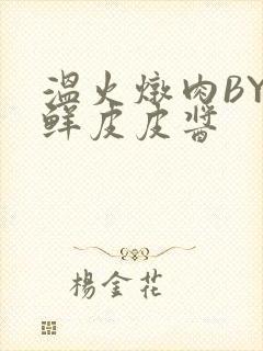 温火炖肉BY海鲜皮皮酱