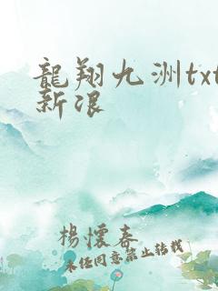 龙翔九洲txt新浪