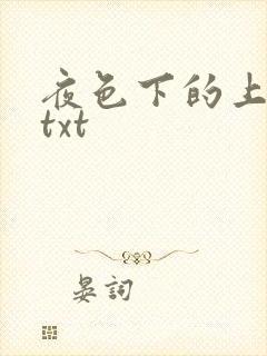 夜色下的上海滩txt