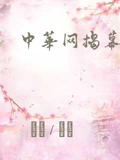 中华网揭幕内参