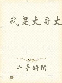 我是大哥大下载