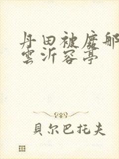 丹田被废那些年云沂容亭