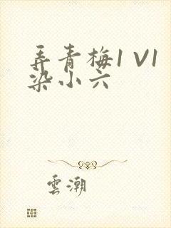 弄青梅1 V1染小六